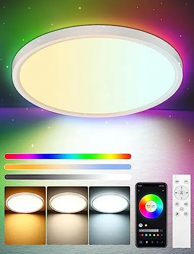 2 Lamparas LED De Techo 24W Moderna Luces Para Sala Baño Cuarto Casa 12  Pulgadas