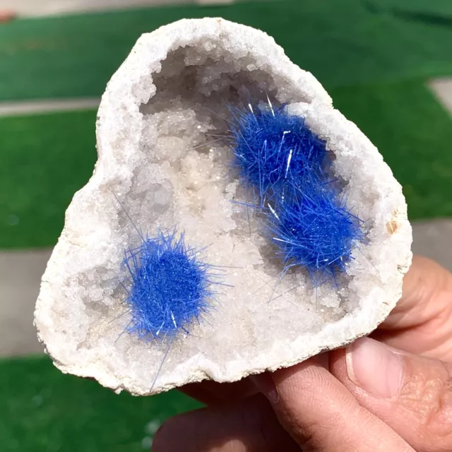 68G Rare Moroccan blue magnesite and quartz crystal coexisting specimen