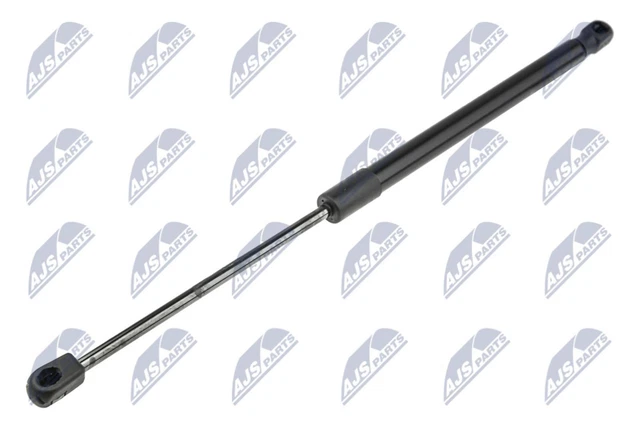 Molla a gas cofano NTY AE-RE-058 per Renault Dokker dCi Dacia Lodgy Express TCe