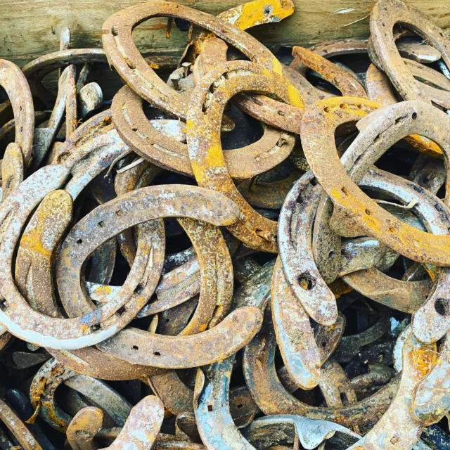 Hufeisen zum Basteln und bauen 40 Stück Hufeisen zum Basteln und bauen 40 Stück