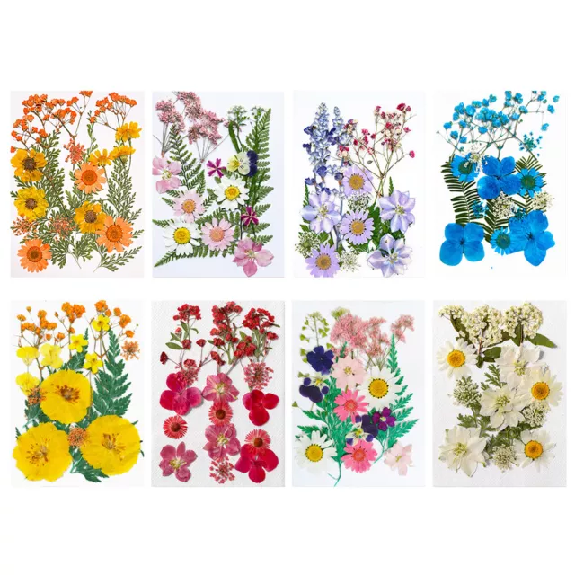 EY# DIY Real Dried Flowers Resin Mold Fillings for Nail Art Jewelry Making Craft