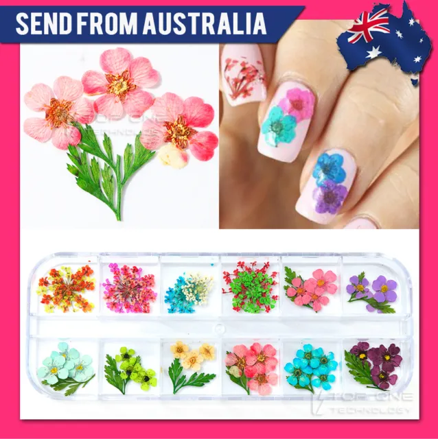 12 Colors 3D Dried Flower Nail Art Natural Floral Pattern Style Manicure 3016B