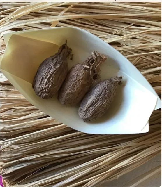 Maniguette (Poivre de Guinée, graines de paradis) - Acheter, bienfaits,  prix et recettes