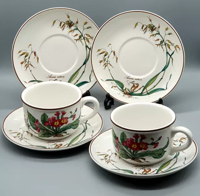 Villeroy & Boch Botanica Tea Cup and Saucer Primula Farinosa and Avena Pattern