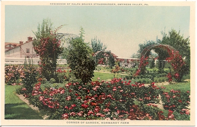 Corner of Garden, Normandy Farm, Gwynedd Valley PA Postcard