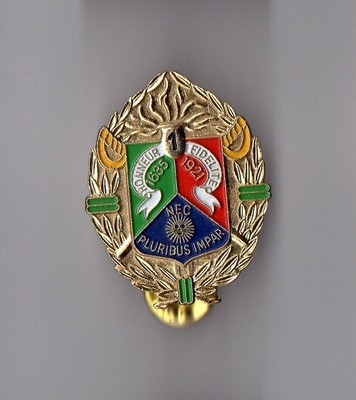 1er GC ARMY 1er REGIMENT DE CHASSEURS Pin's Pins Pin Badge MILITAIRE 