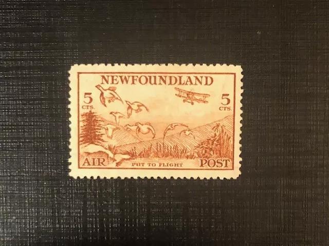 Stamps Canada Newfoundland C13  5c lt brown Air Mail Stamp of 1933, see detail.