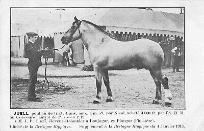 CPA 29 BRETAGNE HIPPIQUE LES 8 POULAINS BRETONS POSTIERS ST THEGONNEC 1912 