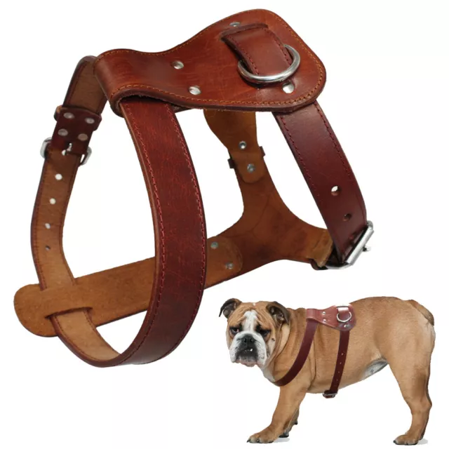 Genuine Leather Pet Dog Harness Heavy Duty No Pull Walking Vest Adjustable Brown