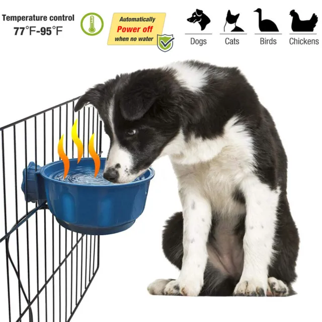 Buy Wholesale China Slow Feeder Interactive Bloat Stop Bowl Dogs And Cats Slow  Feeder Dog Cat Bowl Anti Gulping & Slow Feeder Dog Cat Bowl at USD 3.3