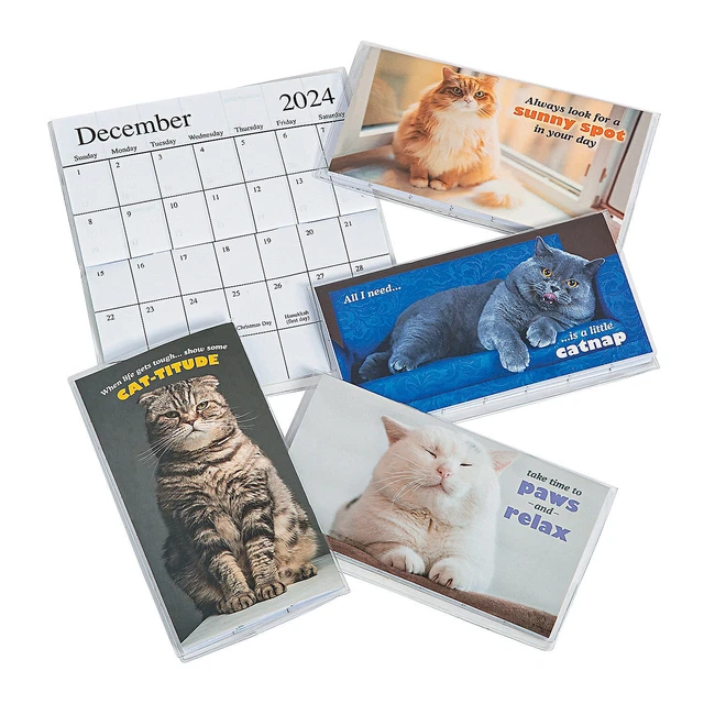 FUN EXPRESS 2024 2025 Fat Cats Pocket Calendars 12 Pc 8.04 PicClick