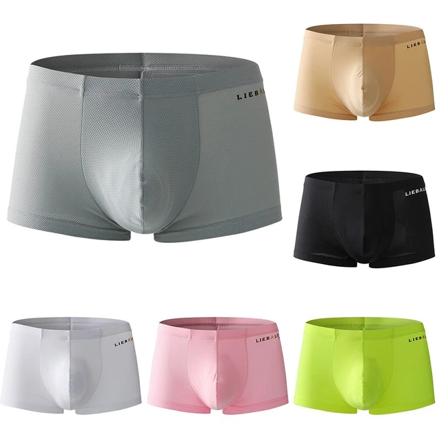 Classic Men's Boxer Briefs Ice Silk Mesh Shorts Panties Lingerie Bulge Pouch