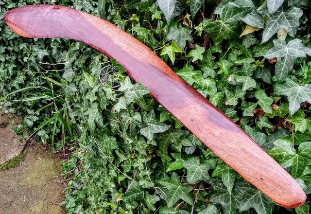 Boomera Da Caccia Aborigena Originale Australiana Vintage & È Più Corta