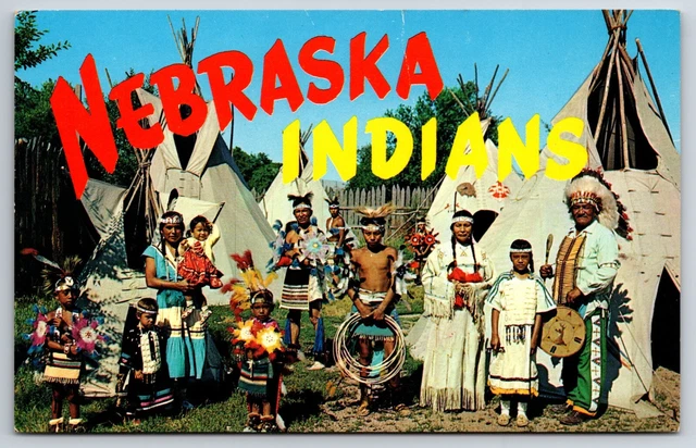 Chief Whitecalf Sioux Indians Ogallaca Nebraska NE Vtg Colourpicture Postcard
