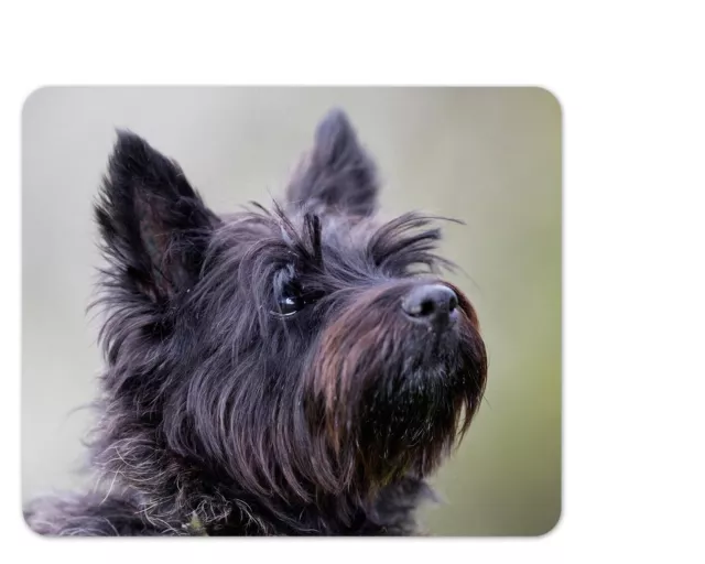 Mauspad/Mouse Pad Textil Kautschuk |  22 x 18 cm | Motiv: Hund Cairn Terrier 01