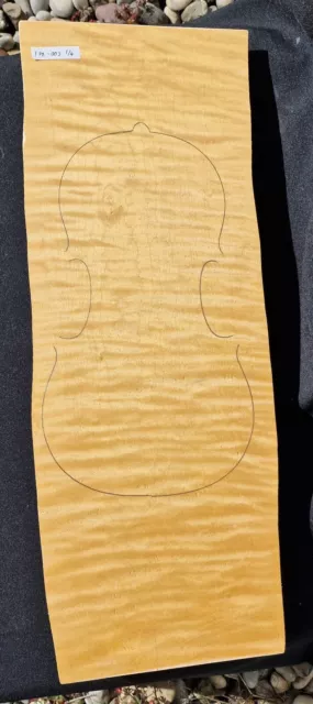 Tonewood Flamed Bosnian Maple violin one piece back 003