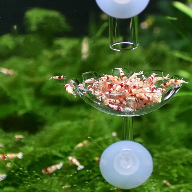 Aquarium Fish Tank  Food Feeder Clear Glass Feeding Suction  B_ro