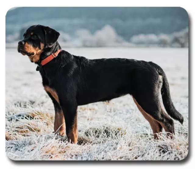 Rottweiler Dog Pure-breed ~ Mouse Pad / PC Mousepad ~ Computer Home Office Gift