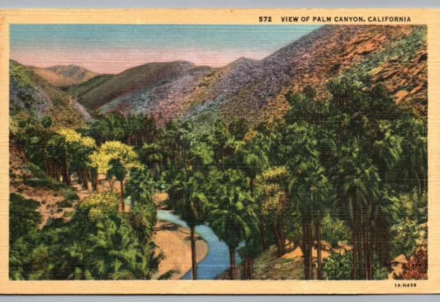 Palm Springs CA Postcard Palm Canyon California palm trees vintage linen card