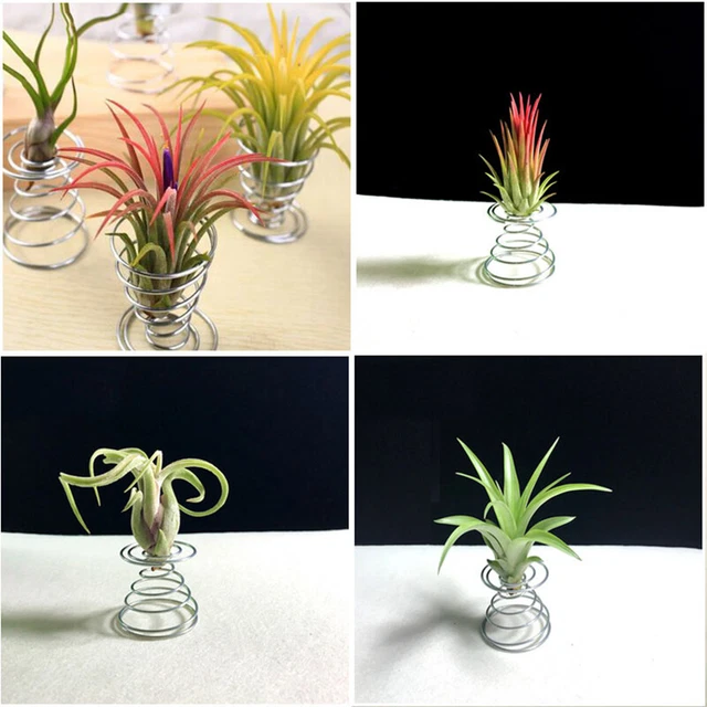 10x Metal Air Plant Stand Container Holder Tabletop Plant Display Rack Vase-wf