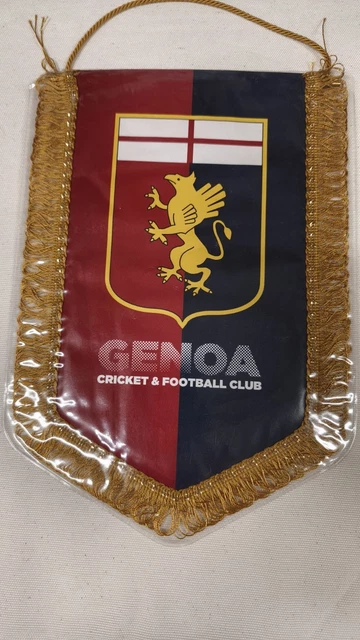 Fanion Cavese Calcio Centenario 2019 Pennant Souvenir Collection
