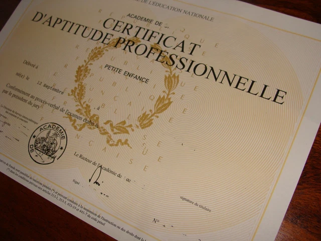 LIVRET 2 VAE Cap Petite Enfance Valide En 2020 EUR 5,50 - PicClick FR