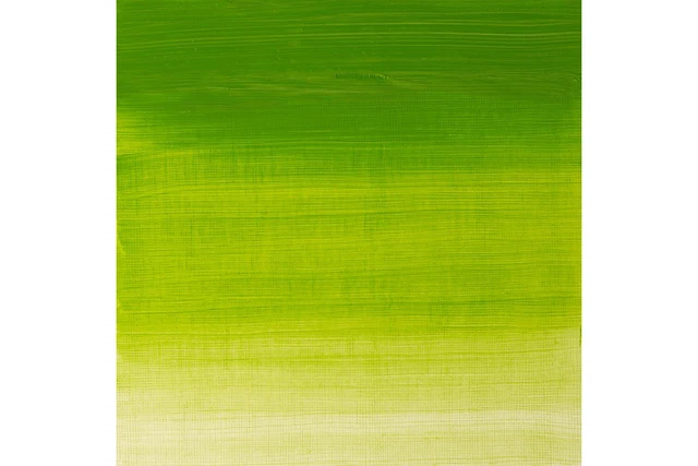 Color óleo Winsor and Newton Winton 37 ml 11 cromo verde tono (tubo)