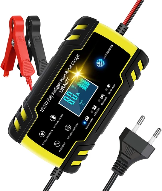 Caricabatterie Auto, 12V/24V 8A Multi Protezioni Caricabatteria E Mantenitore, C