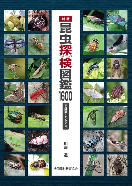 Uk Insect Key Guide NEW EDITION INSECT Search Guide 1600 £51.90 - PicClick UK