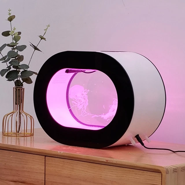 Oval Desktop Jellyfish Aquarium Tank Kit for Real Live Jellyfish Fish Tank 3