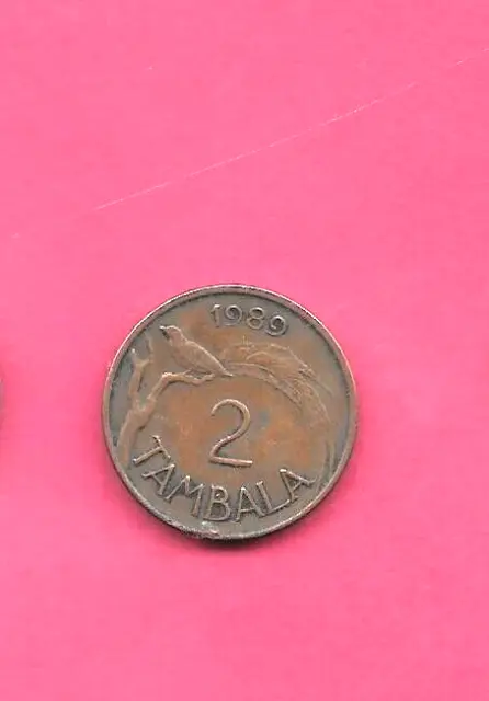 MALAWI KM8.2a 1989 VF-VERY FINE CIRCULATED 2 TAMBALA BRONZE COIN