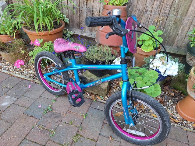 Apollo roxie 16 hotsell