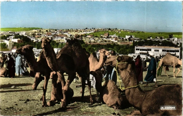 CPM AK MAROC - Scenes et Types-Jour de Souk (329255)