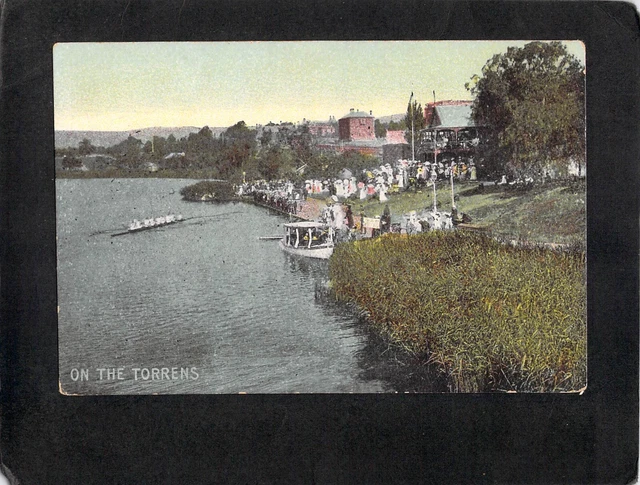 C7679 Australia SA Adelaide Torrens River Rowing vintage postcard