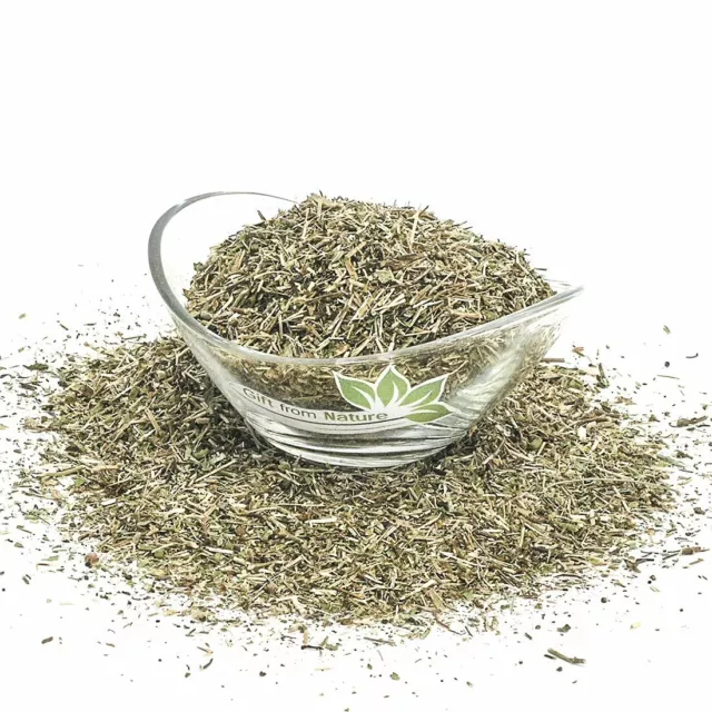 WALL GERMANDER Herb Dried ORGANIC Bulk Tea,Teucrium chamaedrys Herba