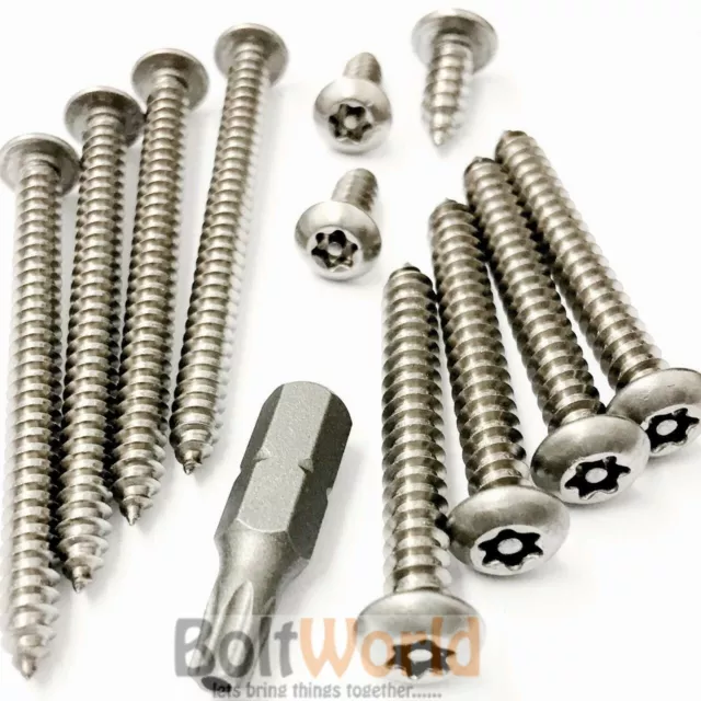 A2 Stainless Steel Torx Pin 6 Lobe Button Head Self Tapping Security Screws Bolt