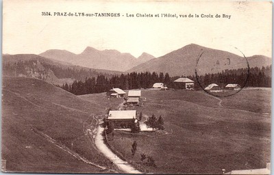CPA UN COIN DU PRAZ DE LYS TANNINGES HAUTE SAVOIE 