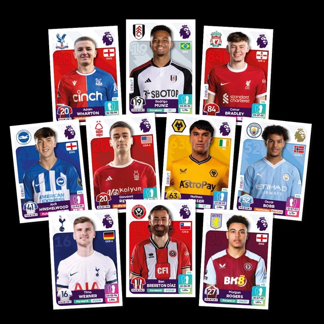 PANINI PREMIER LEAGUE Official Sticker Collection 2024 Update Set Daiki ...