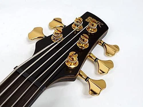 Ibanez Luxe Series 5 Corde Électrique Basse SR1605DW-DEL Avec Housse 3