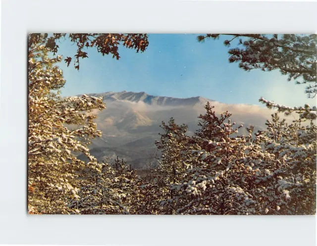 Postcard Winter Great Smoky Mountains National Park Mount Le Conte Mt. Harrison