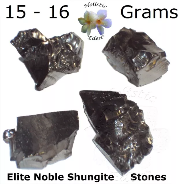 16 Gram Elite Noble Shungite Rough Crystal Miracle Healing Stone EMF Protection