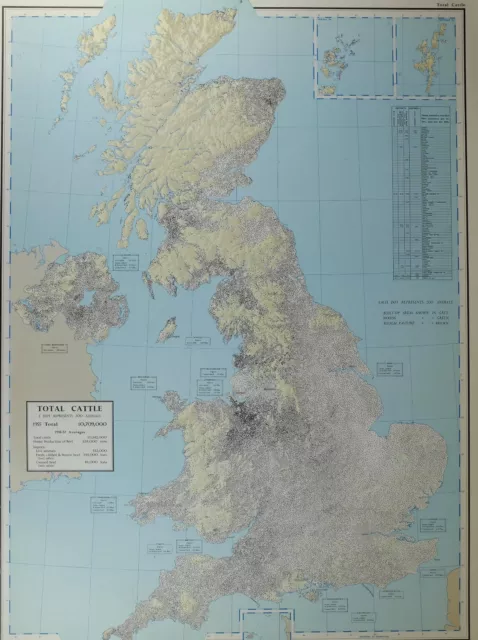 VINTAGE LARGE MAP of BRITAIN TOTAL CATTLE IMPORTS ANIMALS