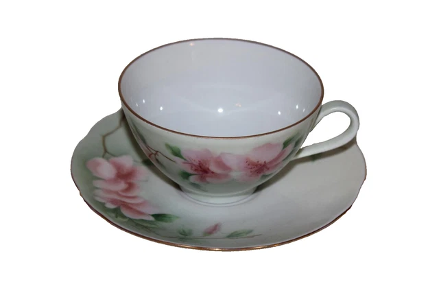 Vtg Diadem Bareuther Waldsassen Bavaria Germany 154 Cup & Saucer Pink Dogwood