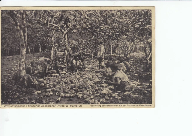 Ak Westdeusche Pflanzungsgesellschaft Viktoria Kamerun, um 1915 nach Schwabenhei