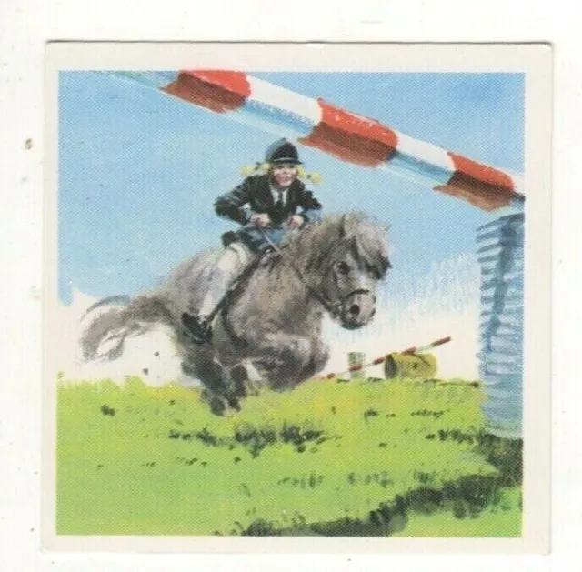 Horses in the Service of Man Trade Card - Shetland Pony