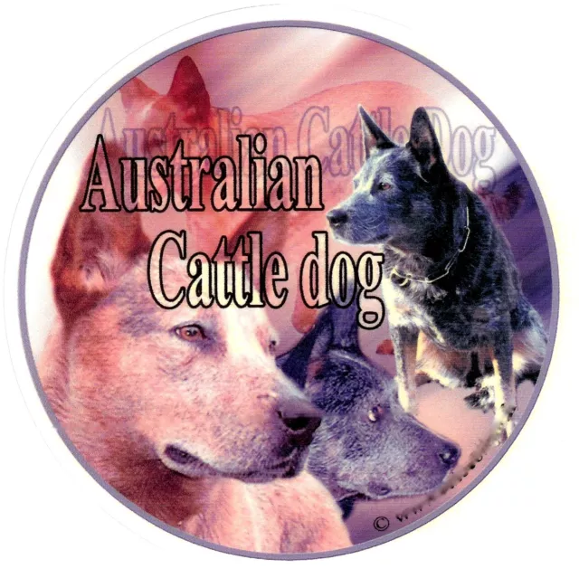 Aufkleber Motiv 1 Australian Cattle Dog Australischer Treibhund Autoaufkleber