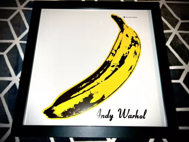 VELVET UNDERGROUND Andy Warhol METAL PLEXI FRAMED 12” Album Flat POSTER *No LP*