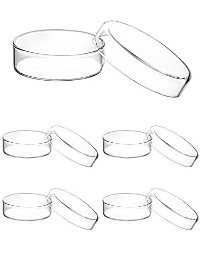 QWORK Glass Petri Dish Petri Plates with Lid Thicken 60mm x 18mm 5 Pack
