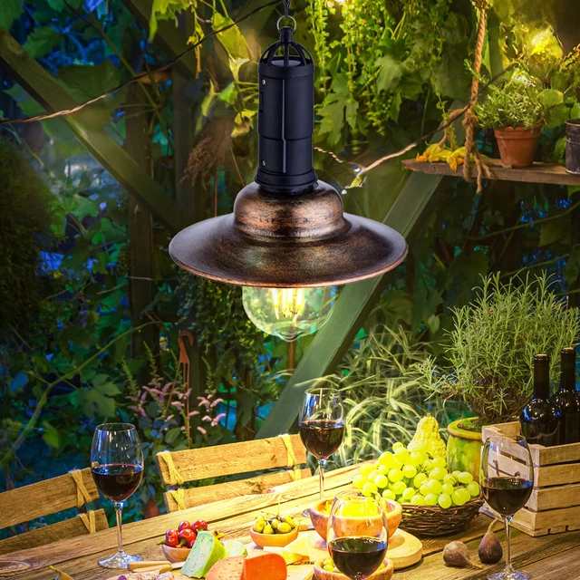 Panier Suspendu Garden Mile Pinto 35.6cm - Pré-Doublé Résistant Intempéries