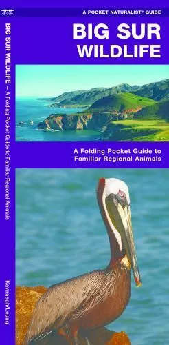 Big Sur Wildlife: A Folding Pocket Guide to Familiar Regional Animals [Wildlife